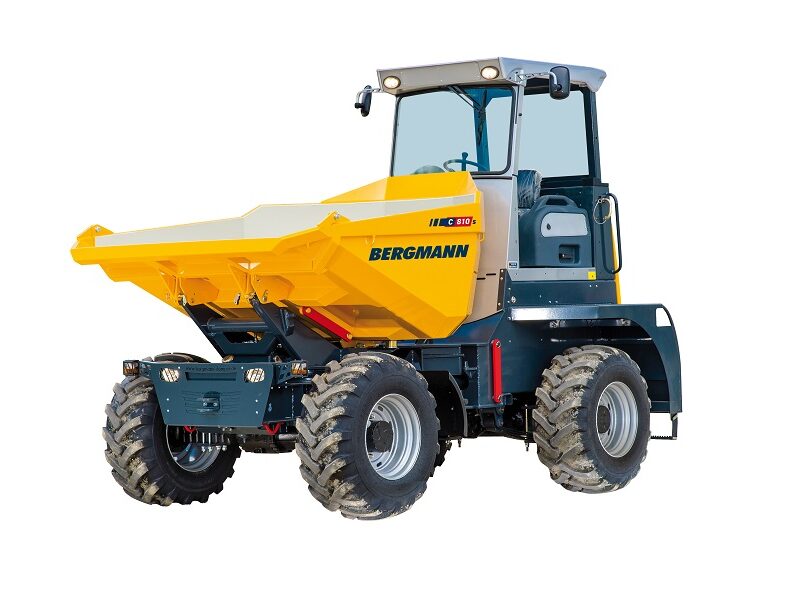 Bergmann C810s